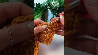 The MOST BEAUTIFUL Crochet Stitch EVER!  ELIZABETH CROCHET STITCH