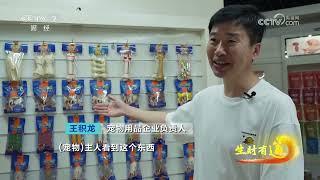 《生财有道》 20250526 “宠爱之城”以“宠”出圈 |  财经风云