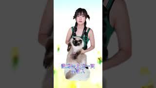 兩個表情一模一樣 #貓