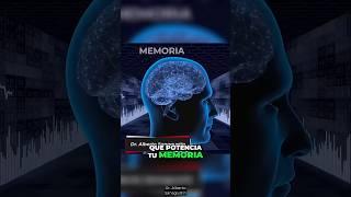 Hierba para mejorar la memoria y la concentración