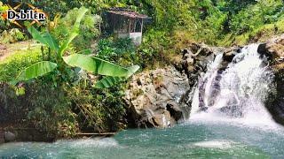 Alam desa yang asri,  Curug bedil desa Cibitung, pedesaan Jawa barat