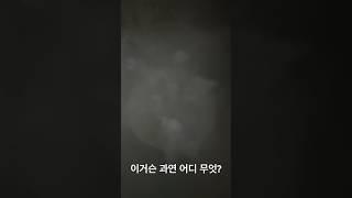 이게 그거야?