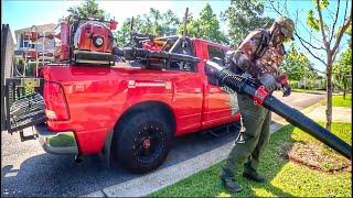 How a professional mow your lawn (start to finish) Toro Revolution GrandStand & Backpack blower