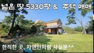 (NO.358)제천 송학산 아래 토지 5330평 평당7만원대, 주택은 꽁짜/ 한적한곳에서 자연인처럼 사실분