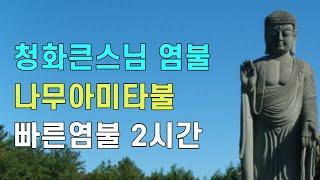 나무아미타불 빠른 염불 청화큰스님 염불 천도법문기도 |  청화스님 염불수행 천도재 49재 南無阿彌陀佛 念佛