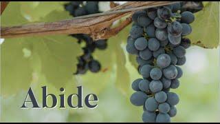 Abide - Randy Shaw - April 13, 2025