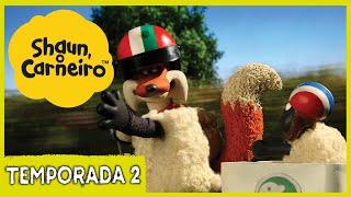 Raposa sedutora Shaun, o Carneiro [Shaun the Sheep]  Episódio Completo | Cartoons Para Crianças