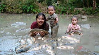 How to catch giant fish ponds with your children - bring them to the market to sell