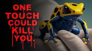 Worlds Most Poisonous Frog:  The Golden Poison Dart Frog Documentary