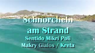 Schnorcheln Mikri Poli Hotel, Makry Gialos, Kreta