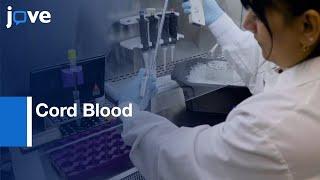 Cord Blood HSCs and Progenitor Cells Differentiation | Protocol Preview