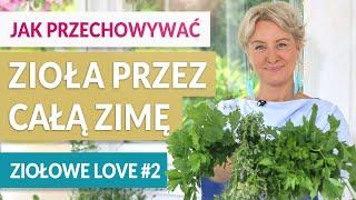 ZIOŁA NA ZIMĘ. Jak przechowywać lubczyk, pietruszkę, seler, rozmaryn, oregano, tymianek, bazylię...