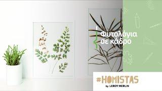 #HOMISTAS by LEROY MERLIN | Φυτολόγια σε κάδρο