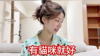 在台灣上班的25歲日本女生/開始養貓咪