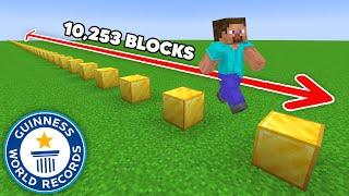 J'ai Sauté 10,253 Blocks Pour BATTRE ce RECORD DU MONDE !