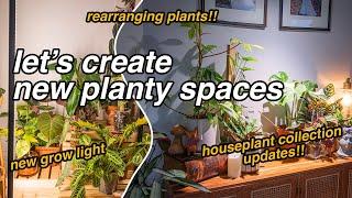 houseplant updates!!  & set up a new plant area with me