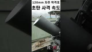 [100만뷰] 막강 화력! 맹호!! 120mm 자주박격포 비격 초탄 발사!! | 수기사 전차대대 #shorts
