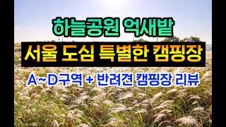 억새축제! 한강 야경! 서울 도심 특별한 캠핑장ㅣ가을여행 추천, 노을공원ㅣ하늘공원 억새ㅣ서울 최초 반려견캠핑장ㅣ노을캠핑장 전체 사이트 리뷰ㅣ캠핑장 추천, 서울근교캠핑장ㅣ백패킹