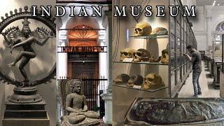 Indian Museum, a beief description #travel #explore #2024