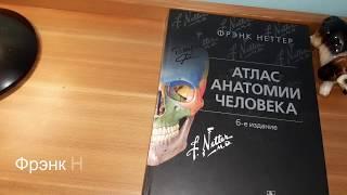 Лучшие книги для изучение Анатомии/ Книги по Анатомии/ Топ 5 книг по Анатомии