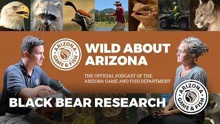 Black Bear Research - Wild About Arizona Podcast