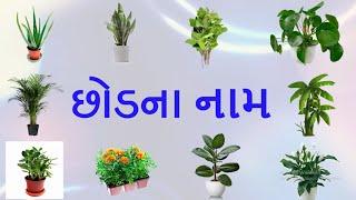 Plants Name | વિવિધ પ્રકારના છોડ | છોડનું નામ | Plants | Small Plants | #plants #tree #gardening