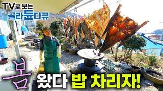 한국기행 봄 모음｜추운 겨울 나고 드디어 찾아온 봄, 각자의 자리에서 봄을 만끽하는 사람들｜봄 제철 생선 잡아 바로 한 상 차린 밥상｜한국기행｜#골라듄다큐