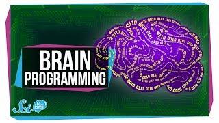 Did We Just Figure Out How to Program a Brain?