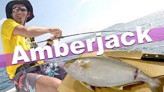 Catch amberjack and cook Sashimi and Sushi