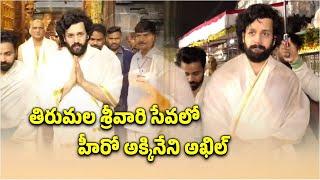 Akhil Akkineni Visited Tirumala Sri Venkateswara Swamy Temple || Samayam Telugu