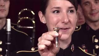 Video Music Lesson   Band Instruments with The US Army Field Band