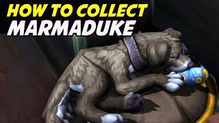 Collect Marmaduke on the Siren Isle