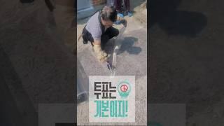 재능기부 ㅣ투표는 기본이지 ㅣ방충망 교체작업ㅣ성수면복지기동대 #투표는기본이지