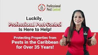 top Termites & Protect Your Home with Professional Pest Control