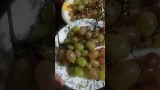 #grapes #shorts#arooj Fatima cooking vlogs #grapes️️