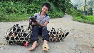 Orphan Boy - Always trying to make life better, taking care of corn garden,catching chickens to sell