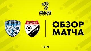 Обзор матча  Бумпром — Белшина