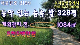 (NO.8199) 농막있는 숲 속 계획관리지역 밭 328평 매매  5천5백만원