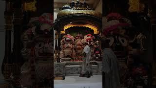 JAI JAGANATH ‍️ #bhakti#sanatan#hinduism#love#jaijagannath#peace#viral#god#subscribe#shorts#fyp 