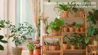 [Vlog] Organize fresh and neat plants / My own mini garden / A housewife enjoying daily life