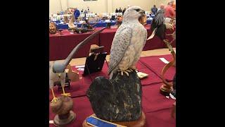 Biggest Woodcarving Show