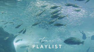 ［Playlist] Quiet Time at the Aquarium