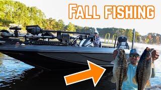 This NEW LAKE was LOADED with Spotted Bass!! (Fall Fishing 101)