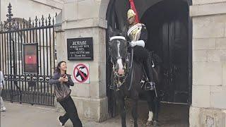 Slow down tourist running at the horse #royalhorseguard