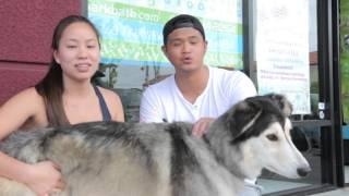 Bark Bath Self Serve Dog Wash & Grooming on The Best of Southern California