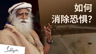 如何消除恐惧？ | Sadhguru 萨古鲁