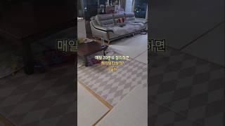 매일 20분씩 정리한다면? 1일차 #정리루틴 #정리꿀팁 #주부일상 #워킹맘일상