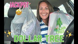 Dollar Tree Haul | JACKPOT FINDS  Watermelon Overload 