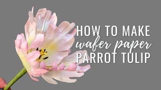 How to make Parrot Tulip for cake decorating using wafer paper | Florea Cakes