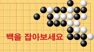 바둑 사활 - 끝내주는 묘수가 나옵니다. 백을 잡아보세요